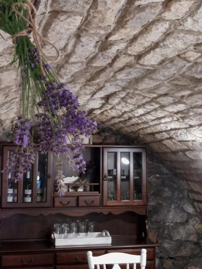 Tokaj Hill Panorama Guesthouse Серенч Экстерьер фото