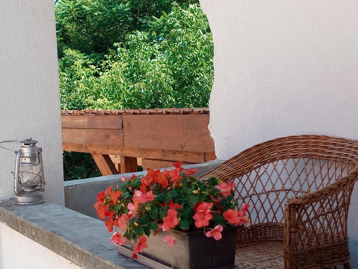 Tokaj Hill Panorama Guesthouse Серенч Экстерьер фото