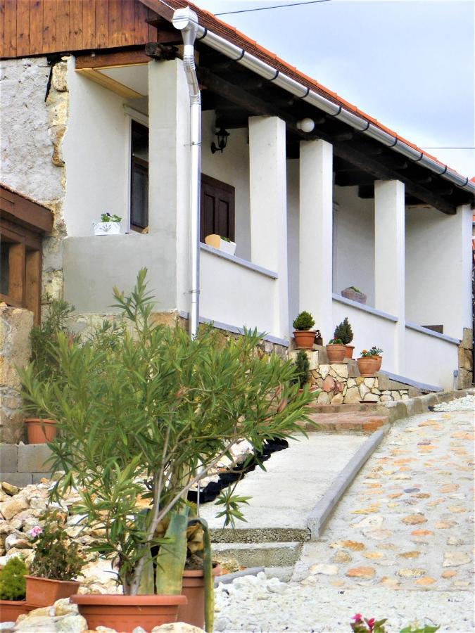 Tokaj Hill Panorama Guesthouse Серенч Экстерьер фото