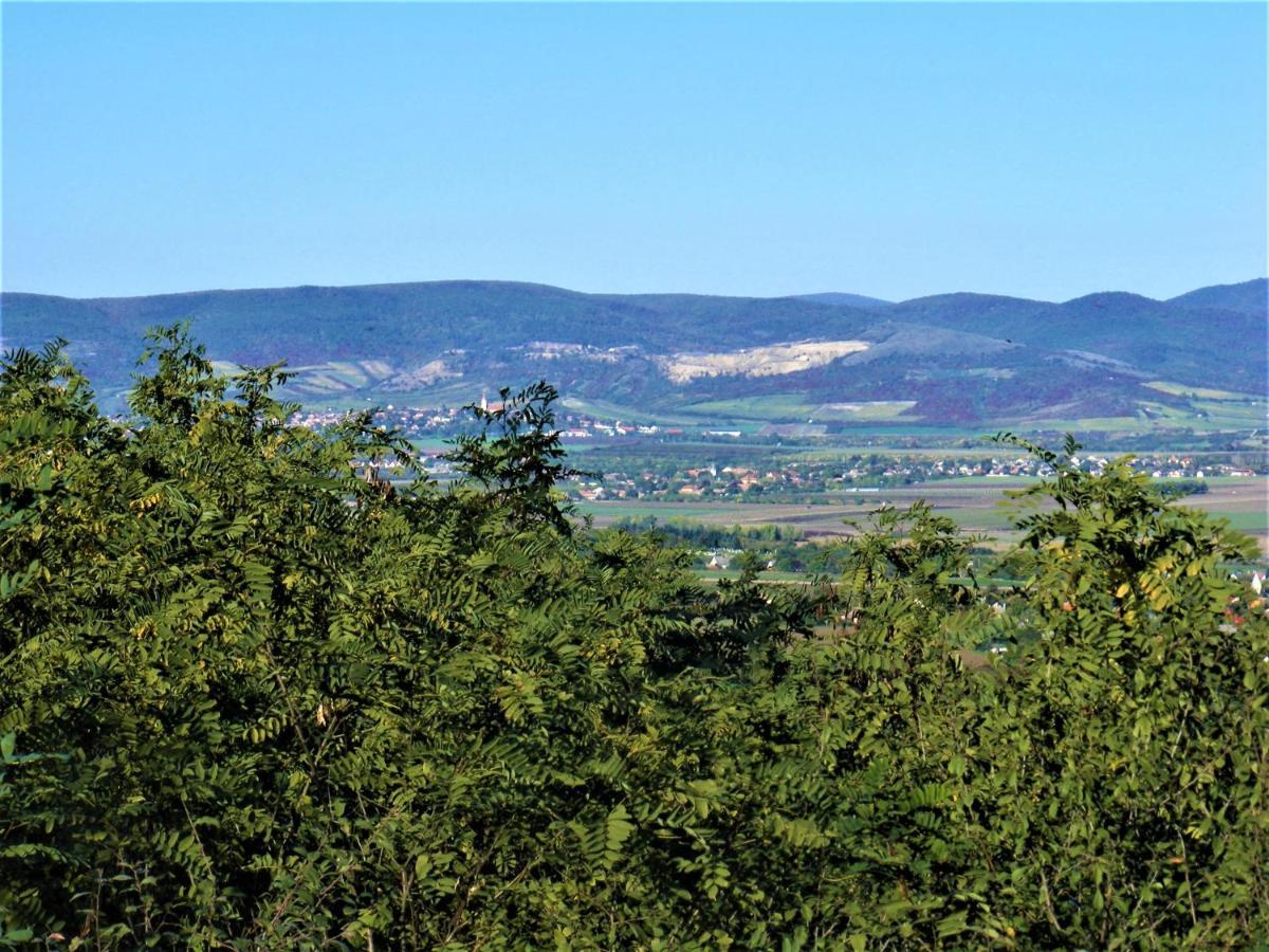 Tokaj Hill Panorama Guesthouse Серенч Экстерьер фото